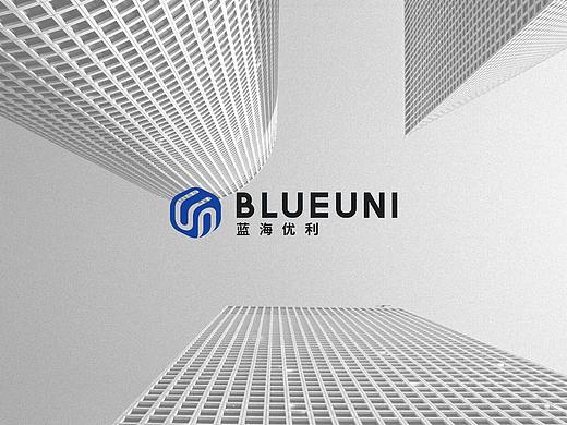 智慧链，人人可创造专利#蓝海优利科技品牌视觉规范