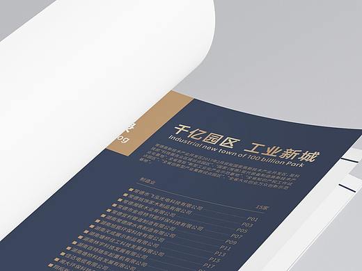 常德高新区政府采购部分企业简介