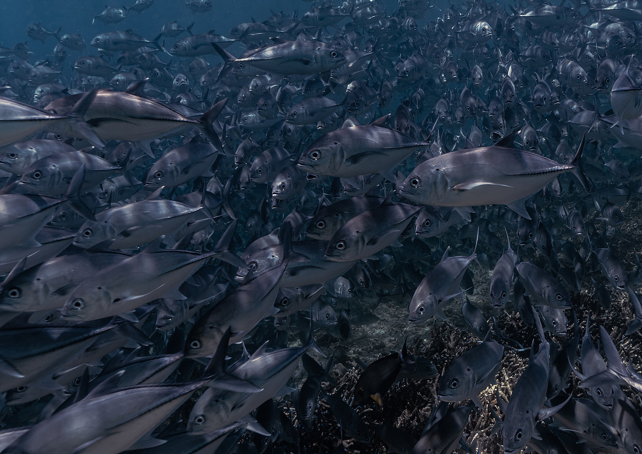 Remax[凯威数据线]（图ZMjE5NzE1NDMy） - 电子产品 - 站酷设计师TANGODesign原创素材 - 站酷ZCOOL