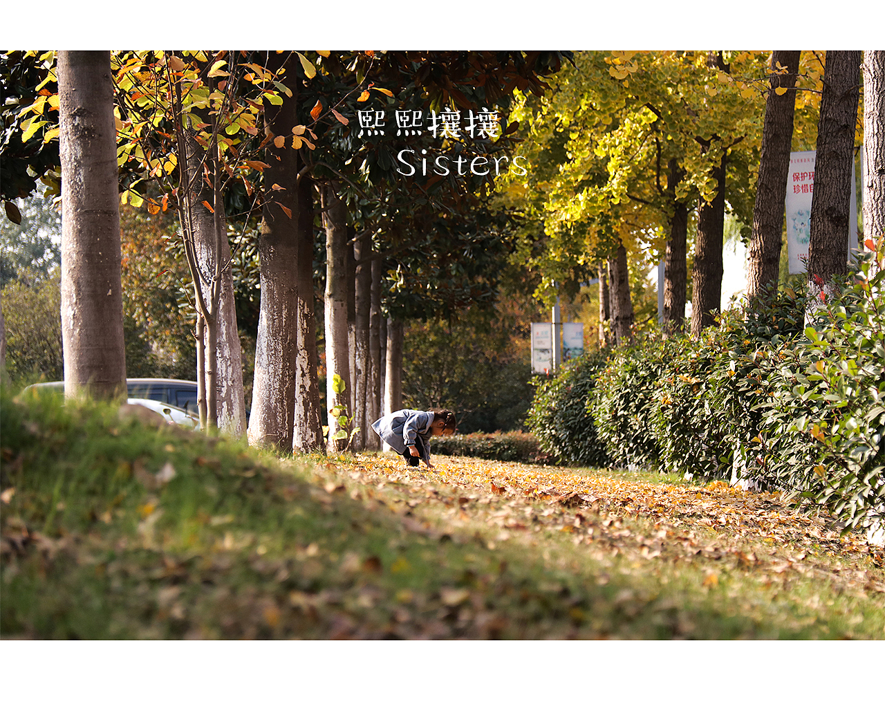 我的熙熙攘攘拍摄——秋天落叶（图ZMTgzMzcyMDYw） - 人像摄影 - 站酷设计师我的熙熙攘攘原创素材 - 站酷ZCOOL