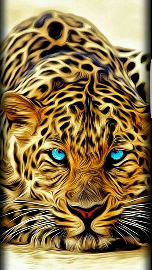 曲面屏手机壁纸