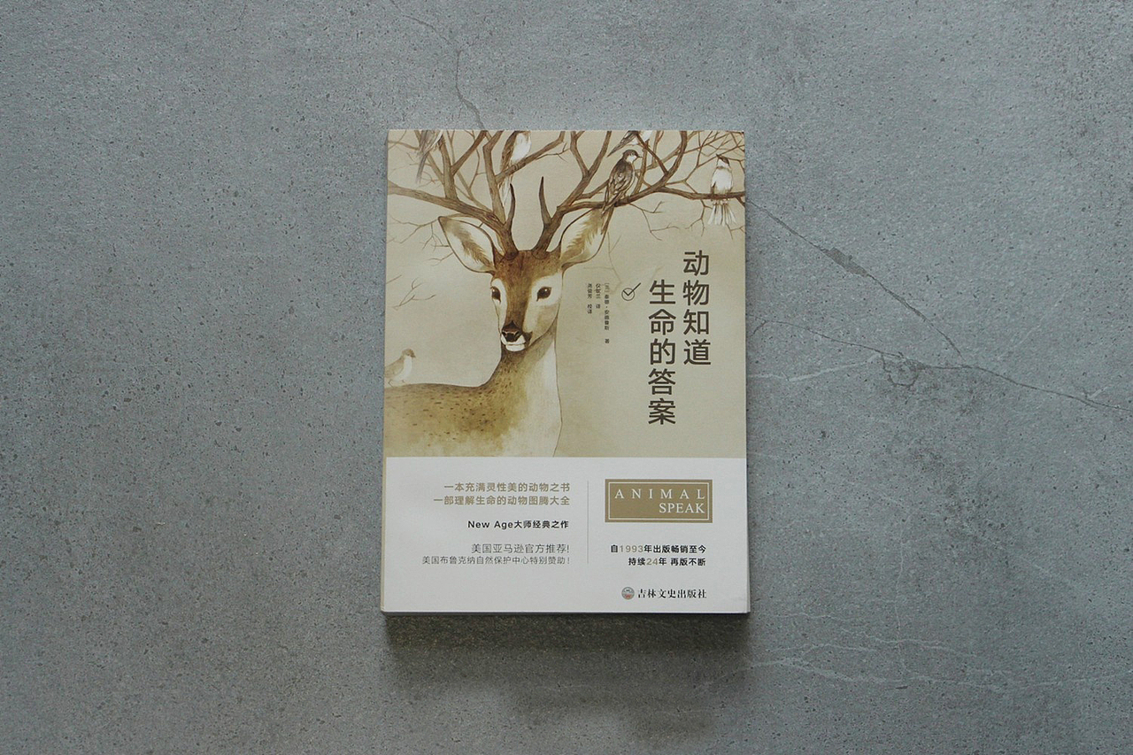 一些商业（封面）插画（图ZMTA4MTQyMzg4） - 商业插画 - 站酷设计师starry阿星原创素材 - 站酷ZCOOL