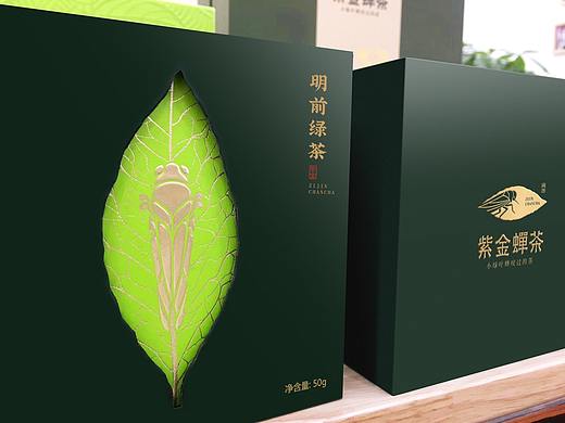 紫金蝉茶x奥驰｜被小绿叶蝉咬过的茶是什么样子？