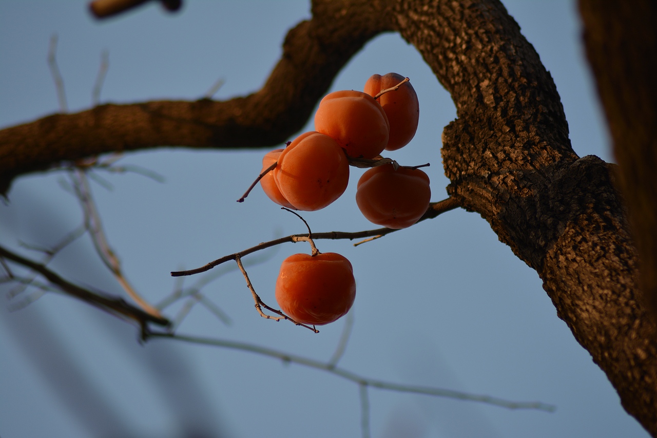 好美！震撼到我的不只是色彩～（图ZNjQ2MTk2NjA=） - 环境/建筑摄影 - 站酷设计师我的瞬间艺术原创素材 - 站酷ZCOOL