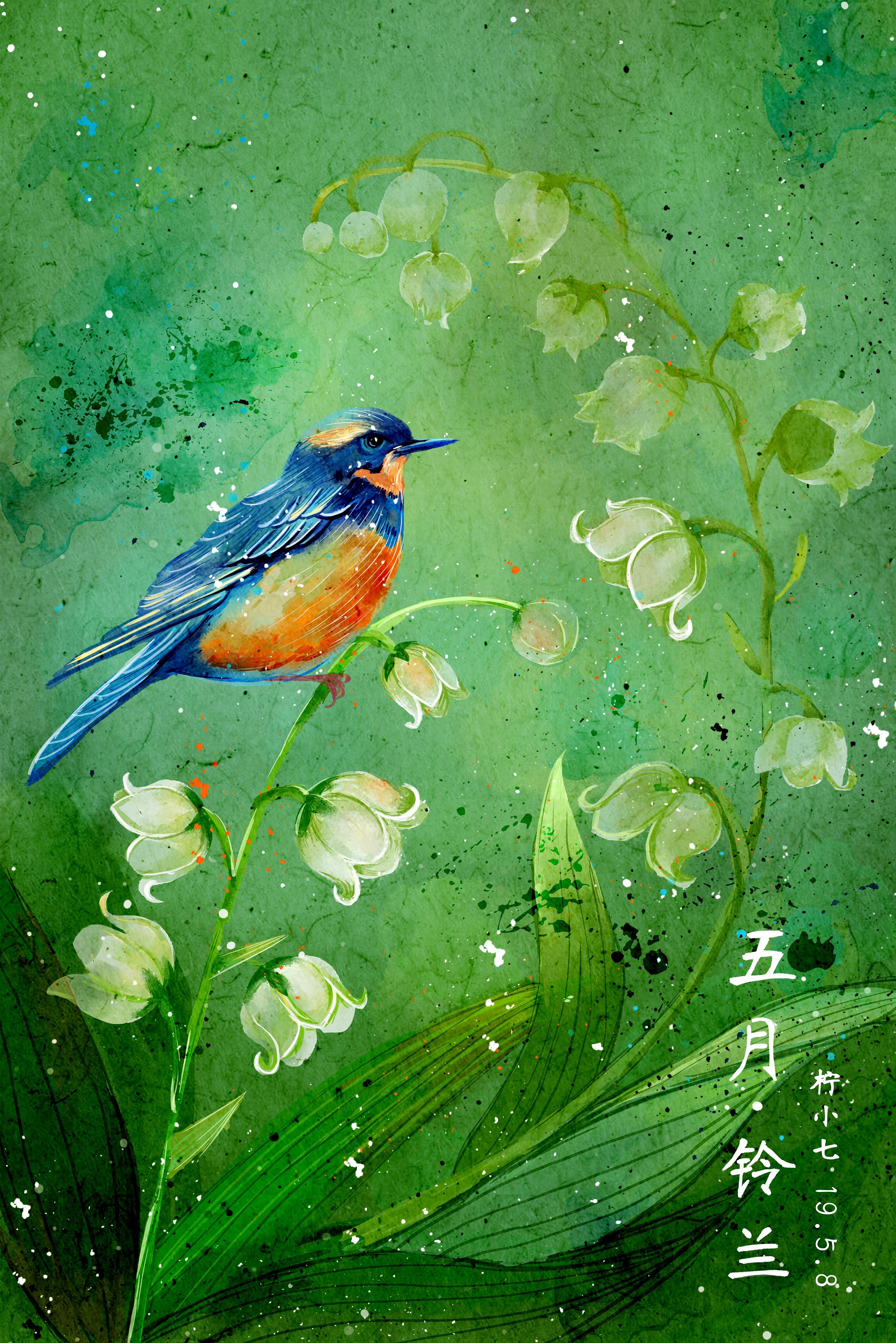 水彩花鸟十二月花信一至六月|插画|商业插画|柠小七qi - 原创作品