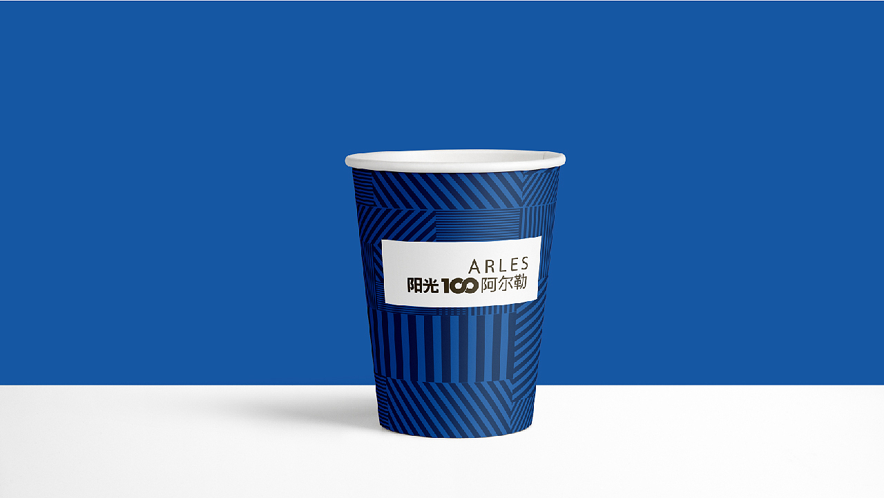 阳光100阿尔勒项目丨提案飞机稿