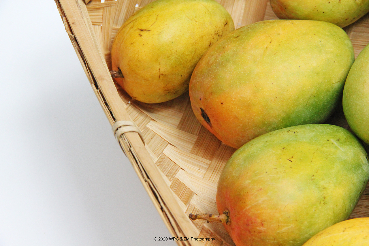 《 HELLO · JULY 》