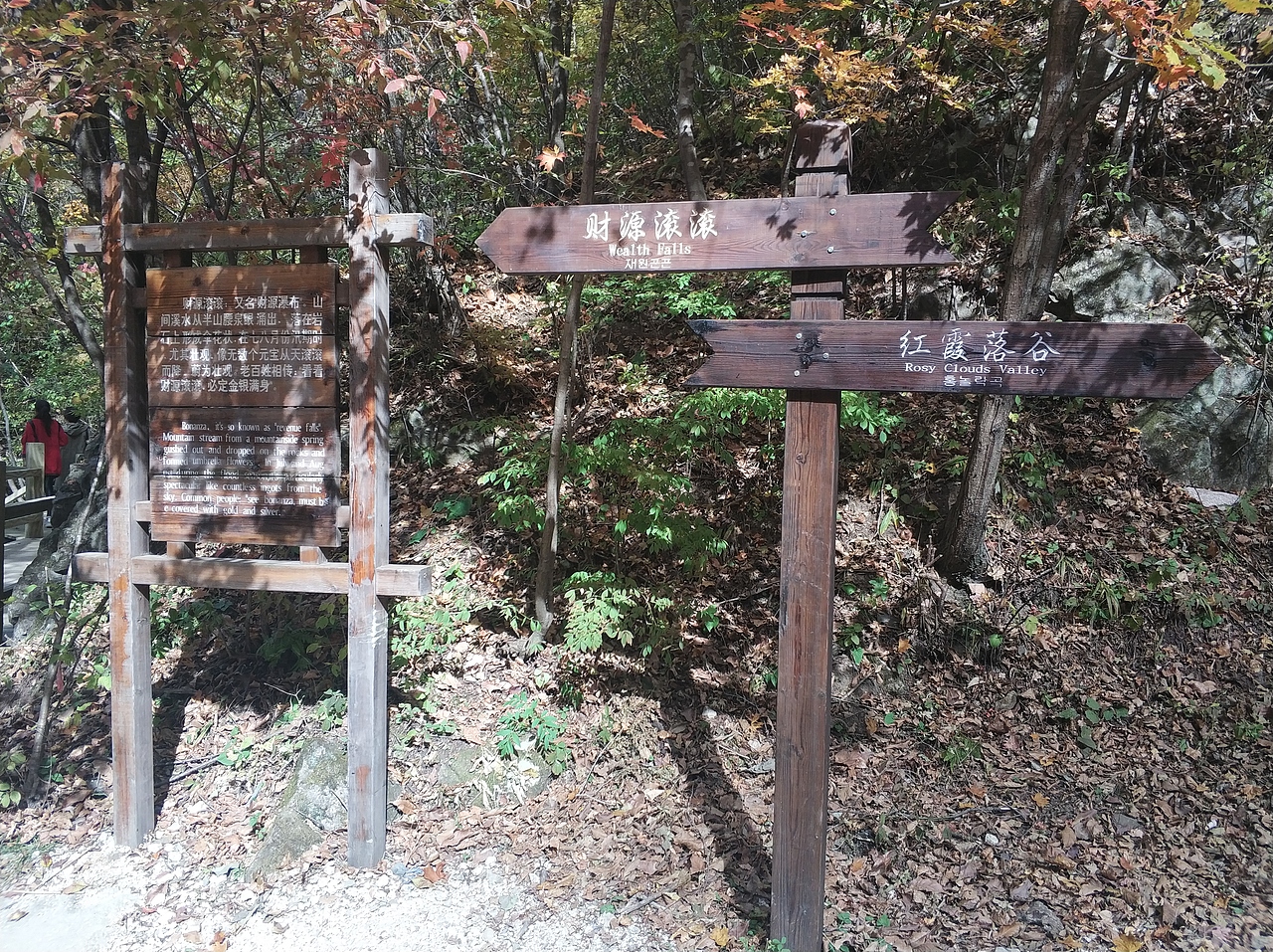 摄影 · 《绿石谷》