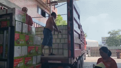 莫小希发酵果汁