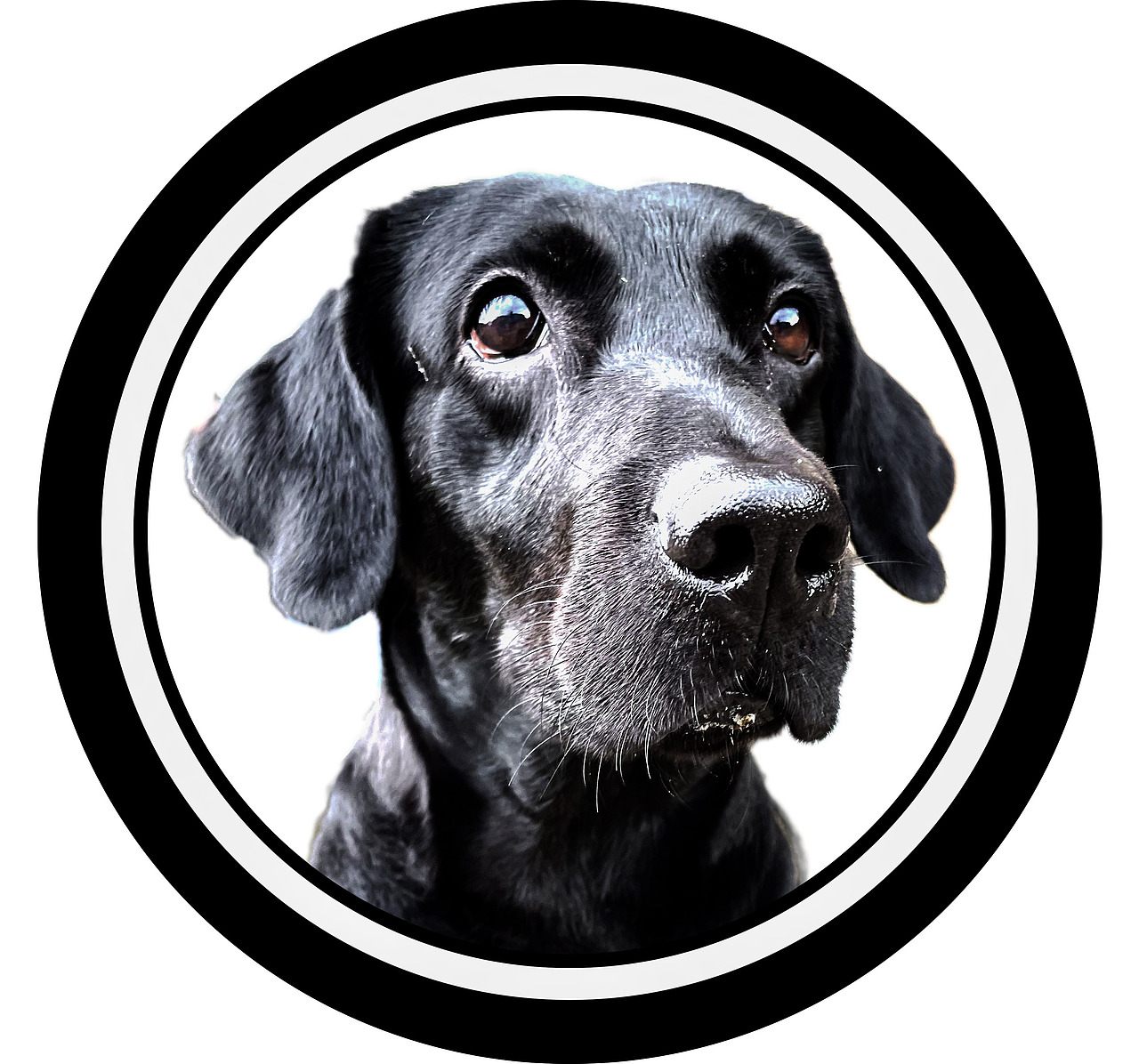 提前祝大家新春快乐,阖家团圆,早生贵子!