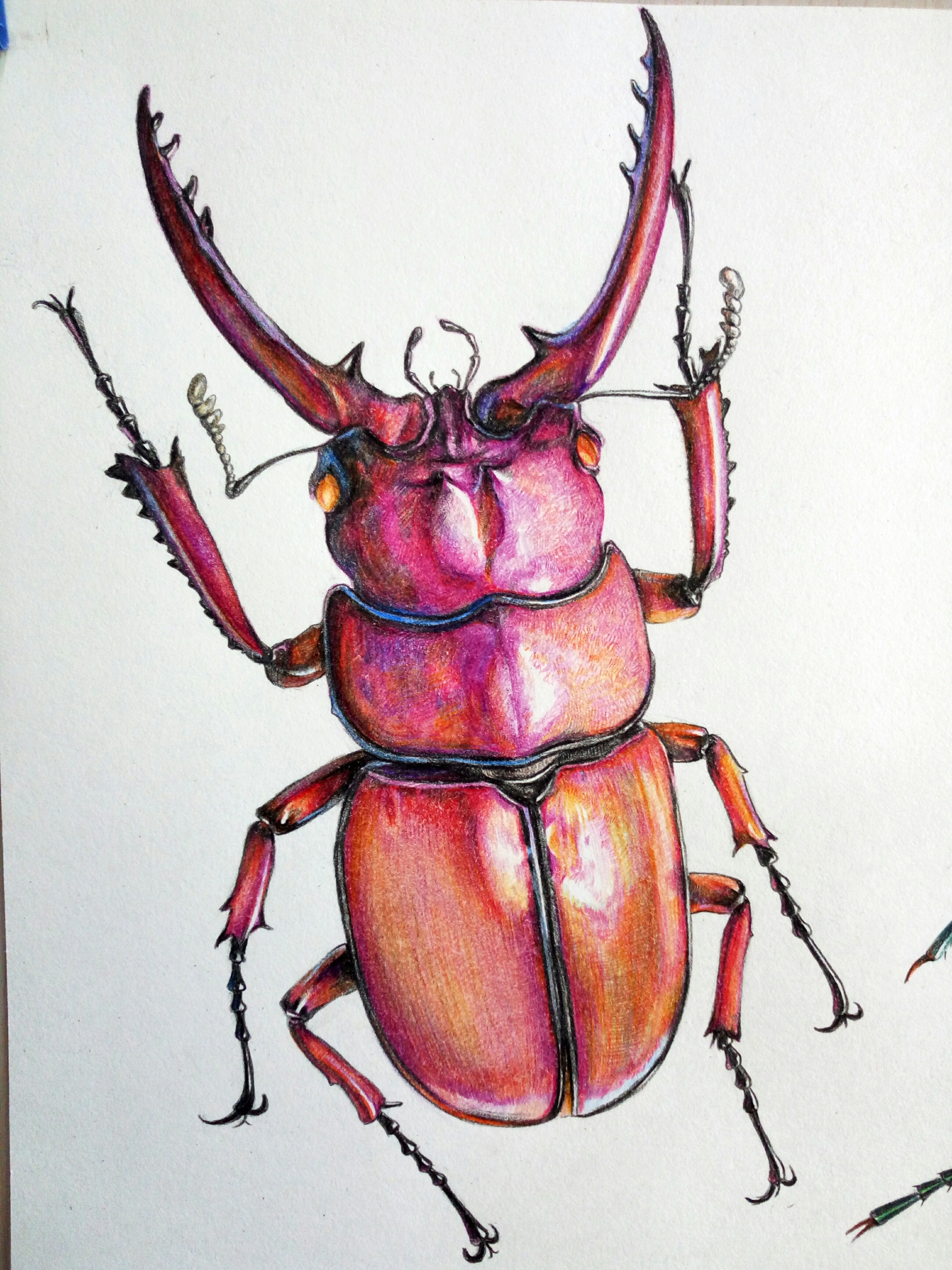 1一9岁简笔画 好看简笔画昆虫的画法详细过程💛巧艺网