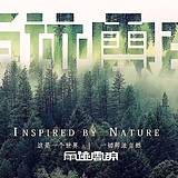 Liangki良奇的头像