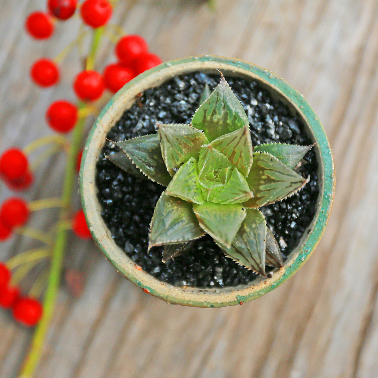 金凤玉露一相逢，便盛却人间无数（图ZMTM2ODM2OTAw） - 产品摄影 - 站酷设计师溪隐创意原创素材 - 站酷ZCOOL