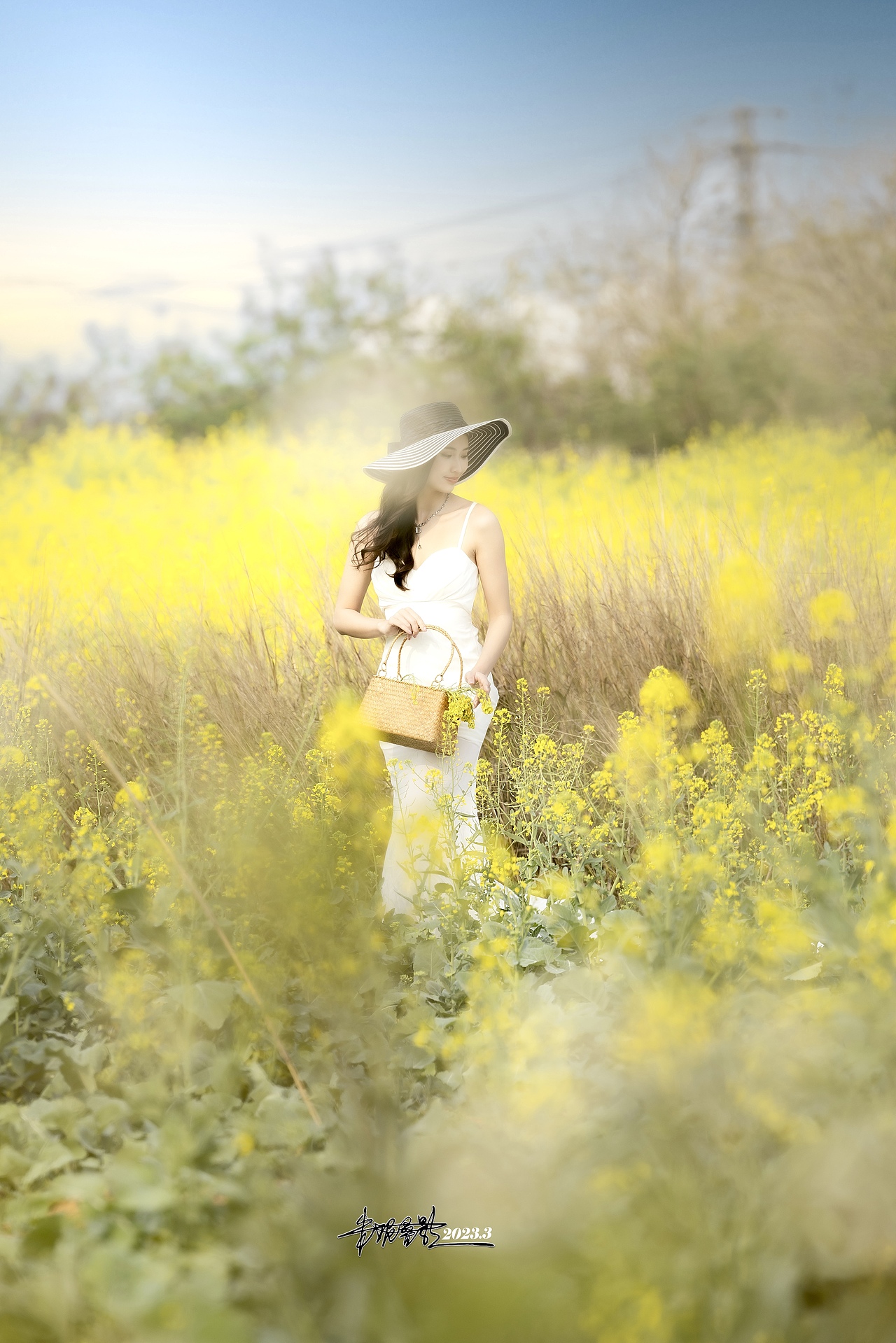 南宁明阳工业区“油菜花田”