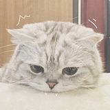 J_果子的头像