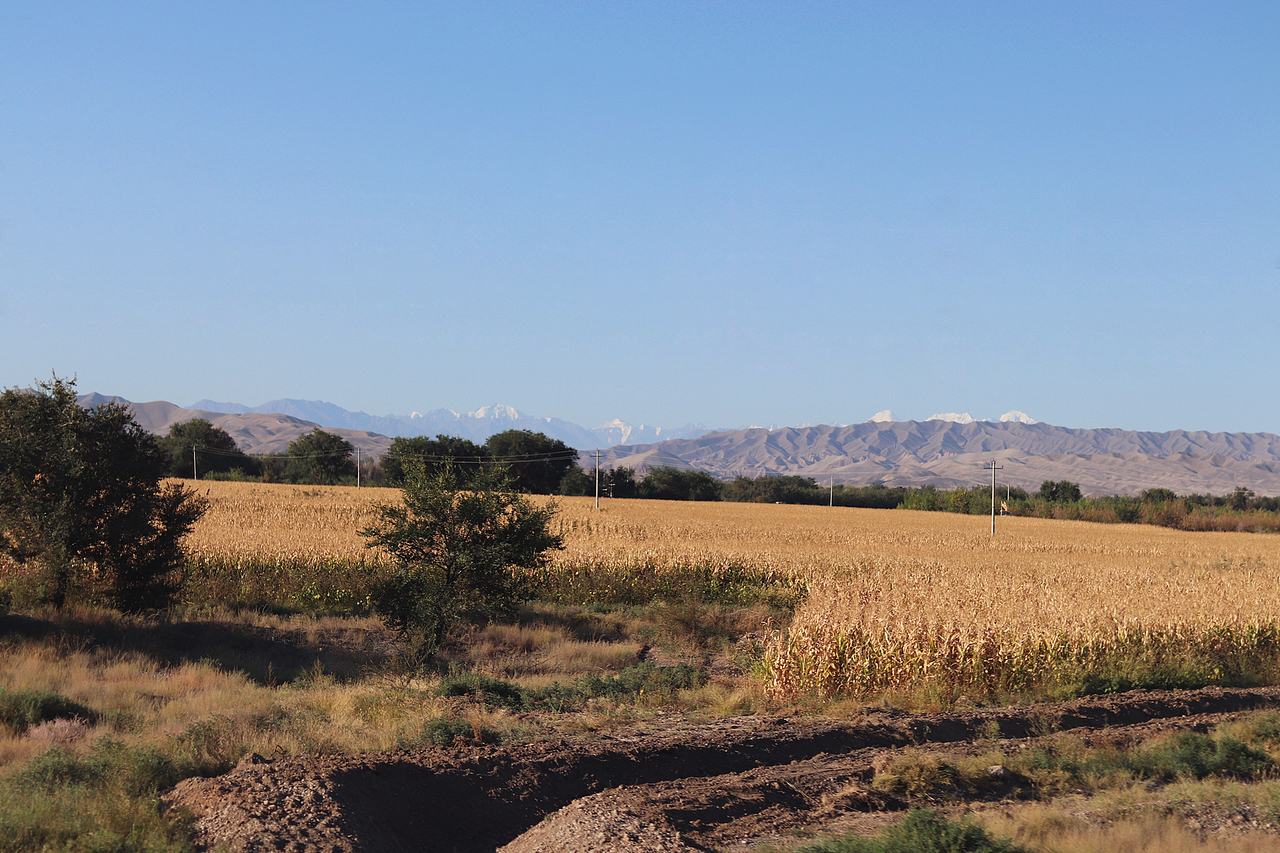 乌鲁木齐 — 伊利 (越过荒漠和田野)