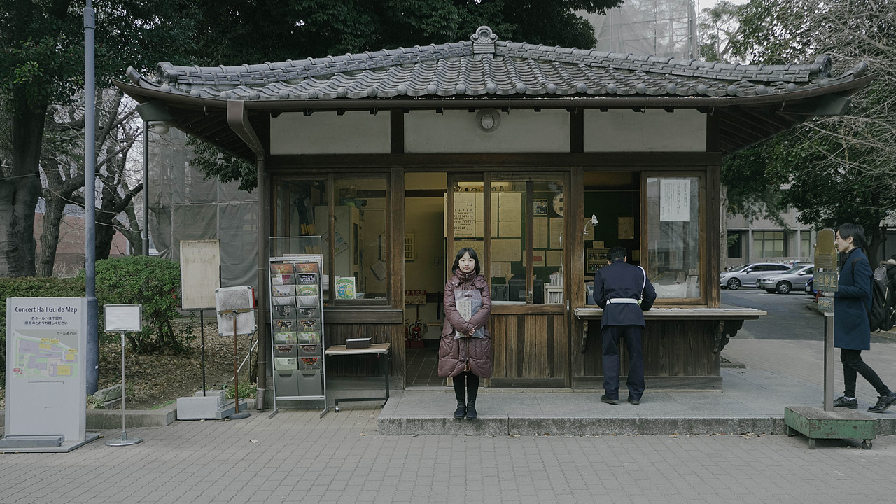 是不是你们就只会去日本