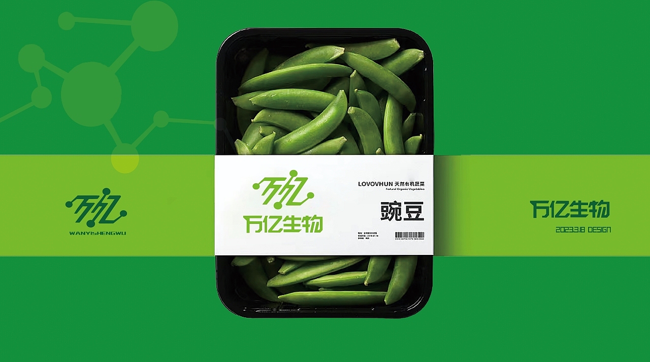 万亿生物科技公司品牌VI