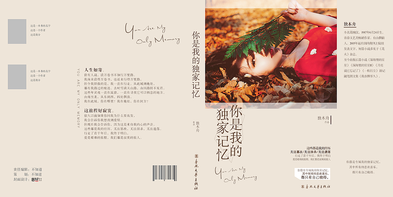 你是我的独家记忆