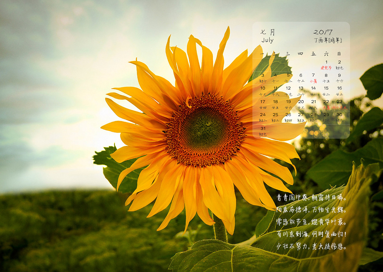 2017日历桌面