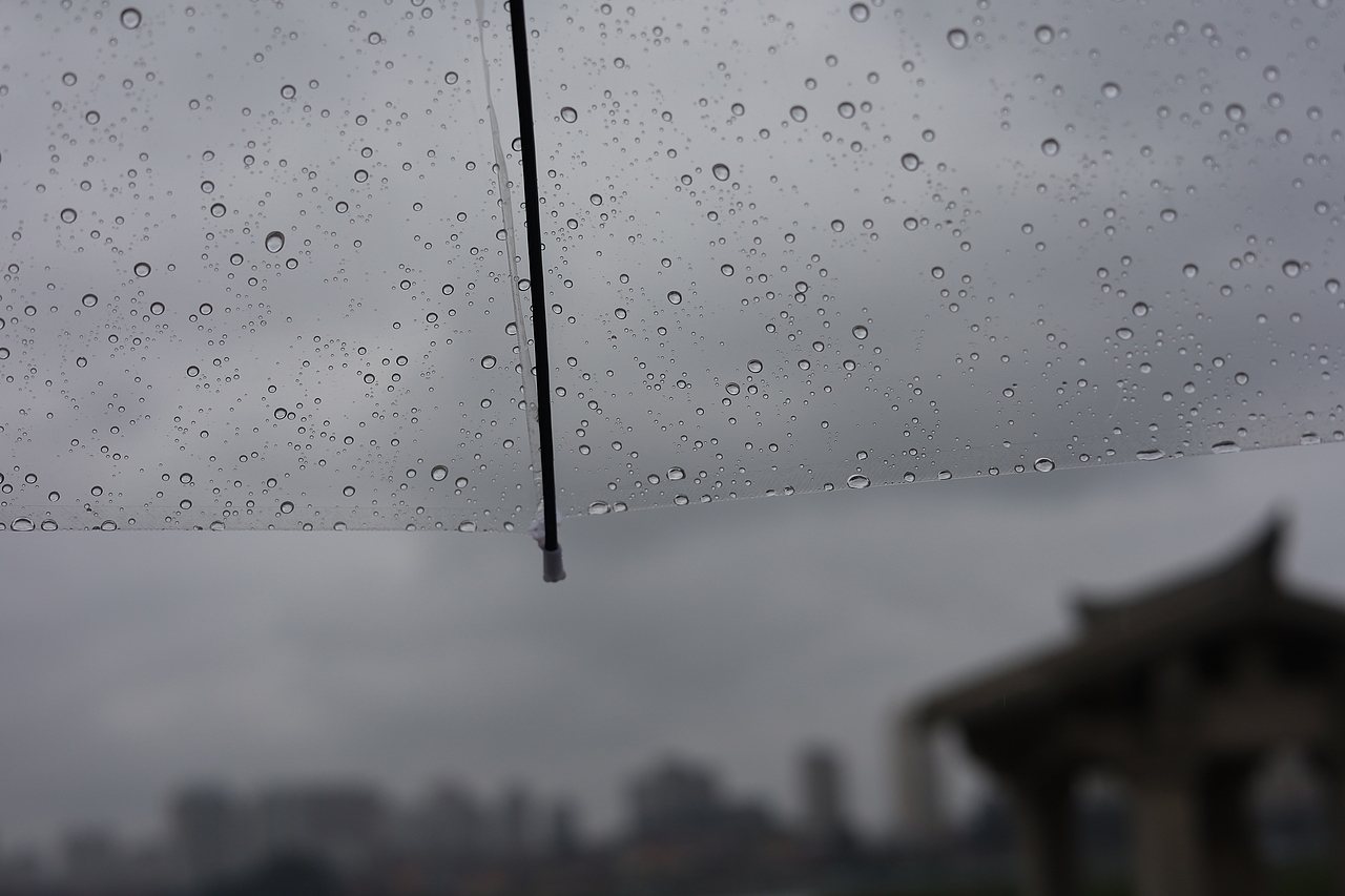 佛山日落、花和雨
