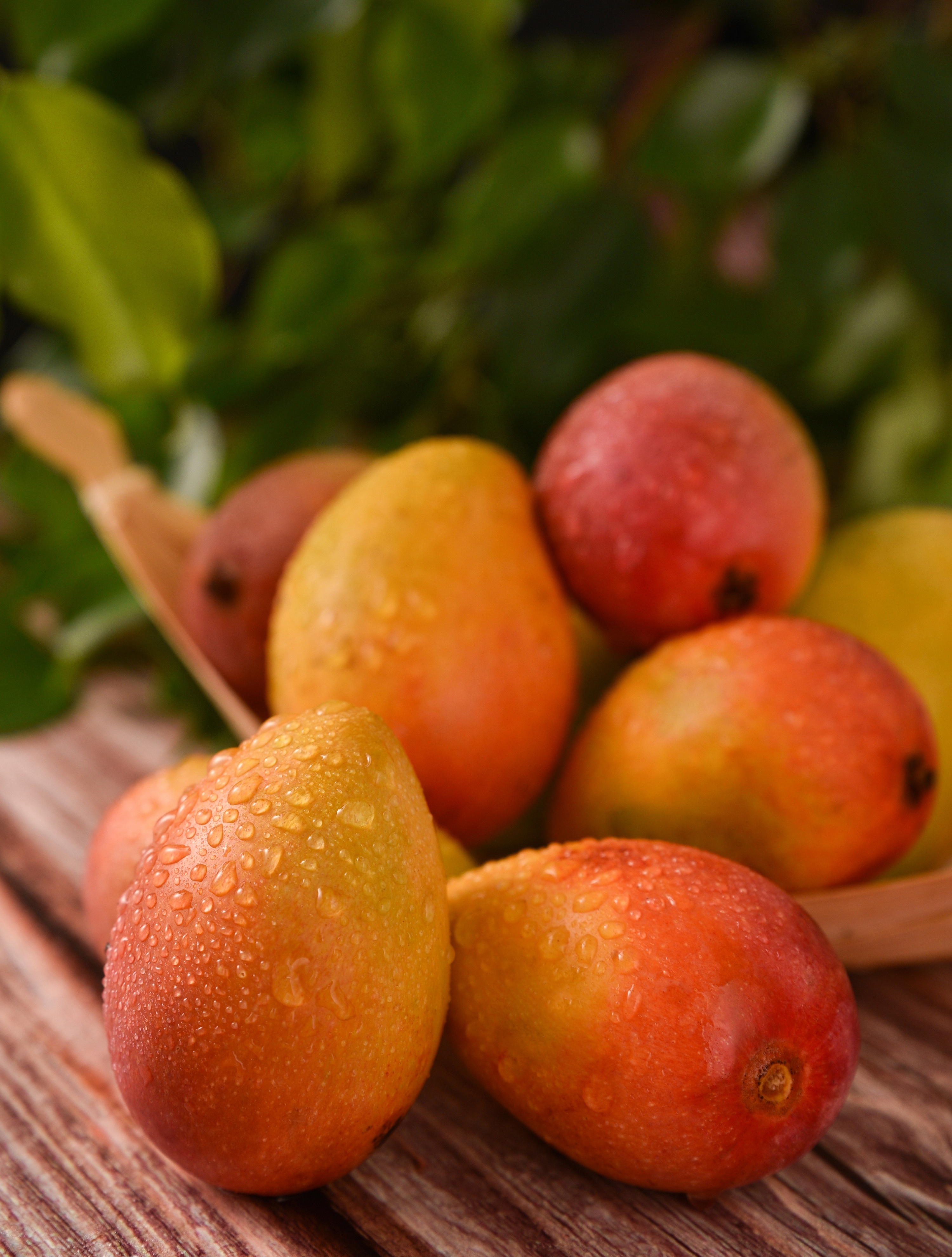 芒果|摄影|产品摄影|z20385617 - 原创作品 - 站酷 (zcool)