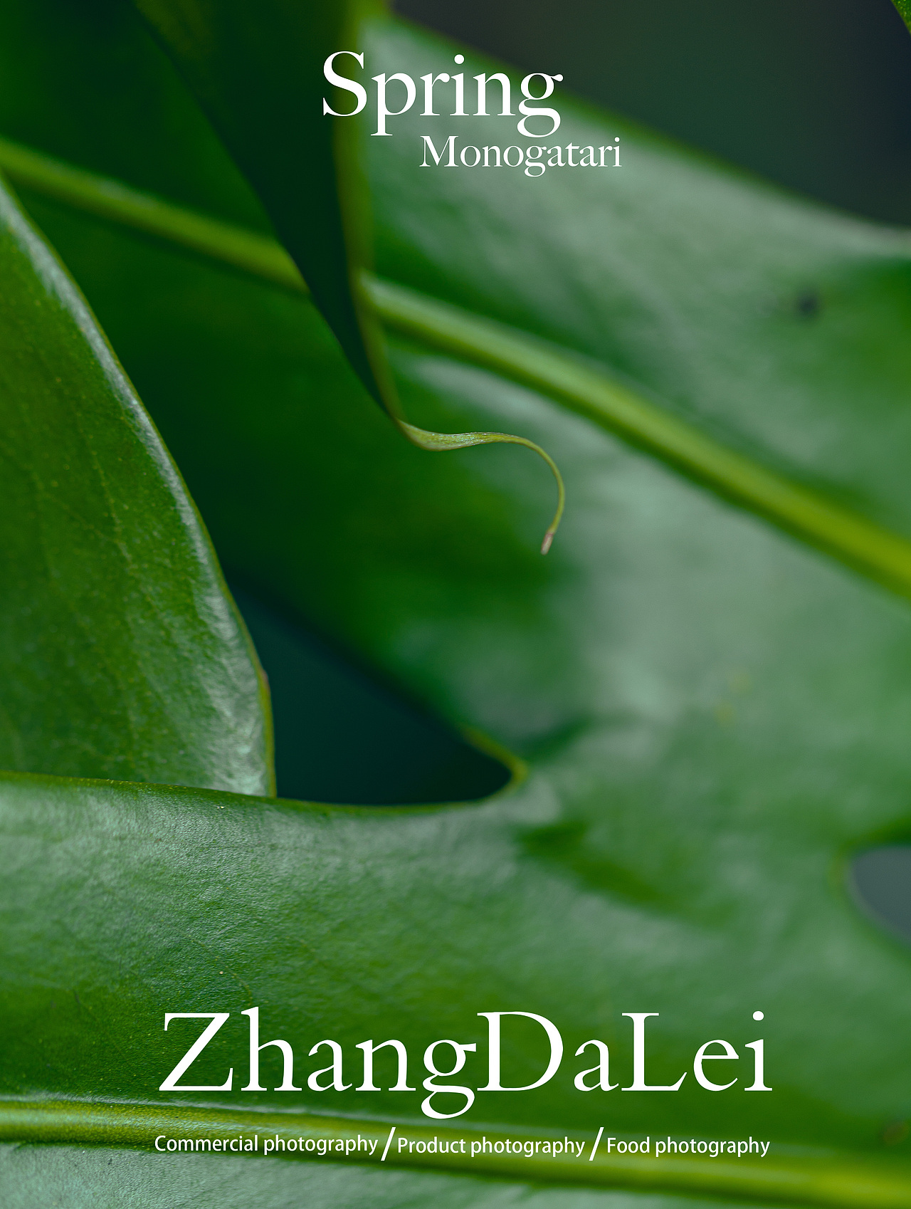 春天物语（图ZMzY2MzgwOTgw） - 其他摄影 - 站酷设计师子菲门视觉原创素材 - 站酷ZCOOL