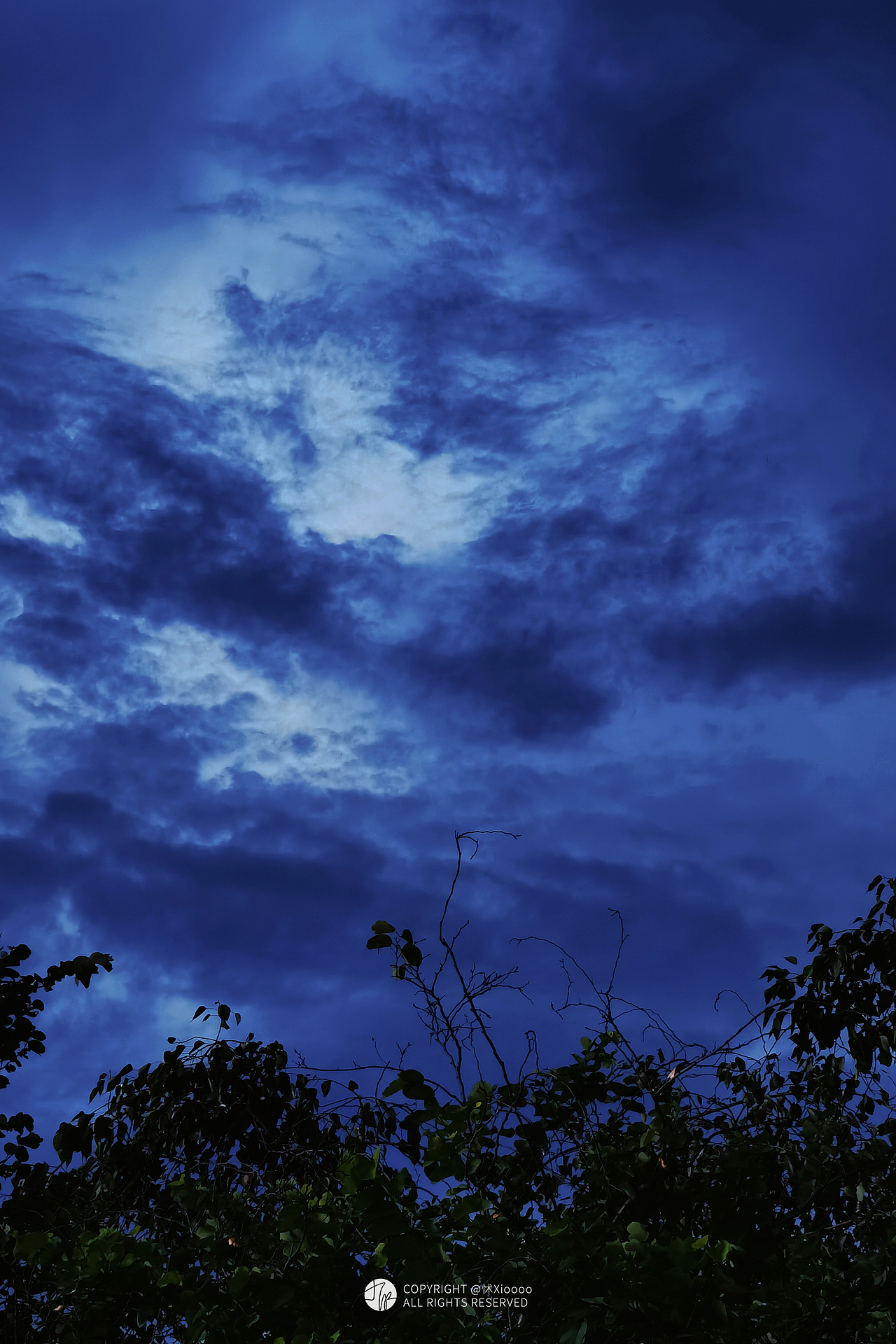 2023怵xiooo手机摄影