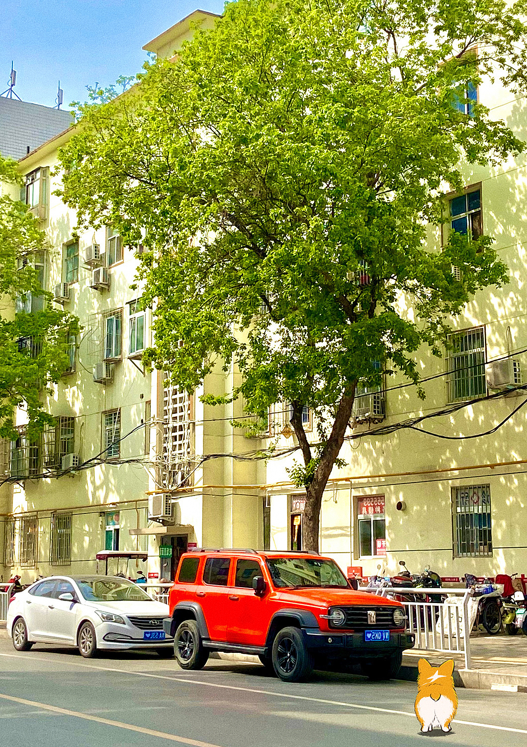 照片插畫 | 這個(gè)夏天（圖ZMzAyNTEyMTky） - 創(chuàng)作習(xí)作 - 站酷設(shè)計(jì)師Joynii原創(chuàng)素材 - 站酷ZCOOL