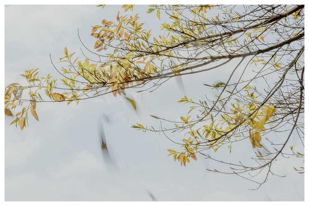 随风起舞（图ZMzU4MDczNTA0） - 人像摄影 - 站酷设计师春上喜食原创素材 - 站酷ZCOOL