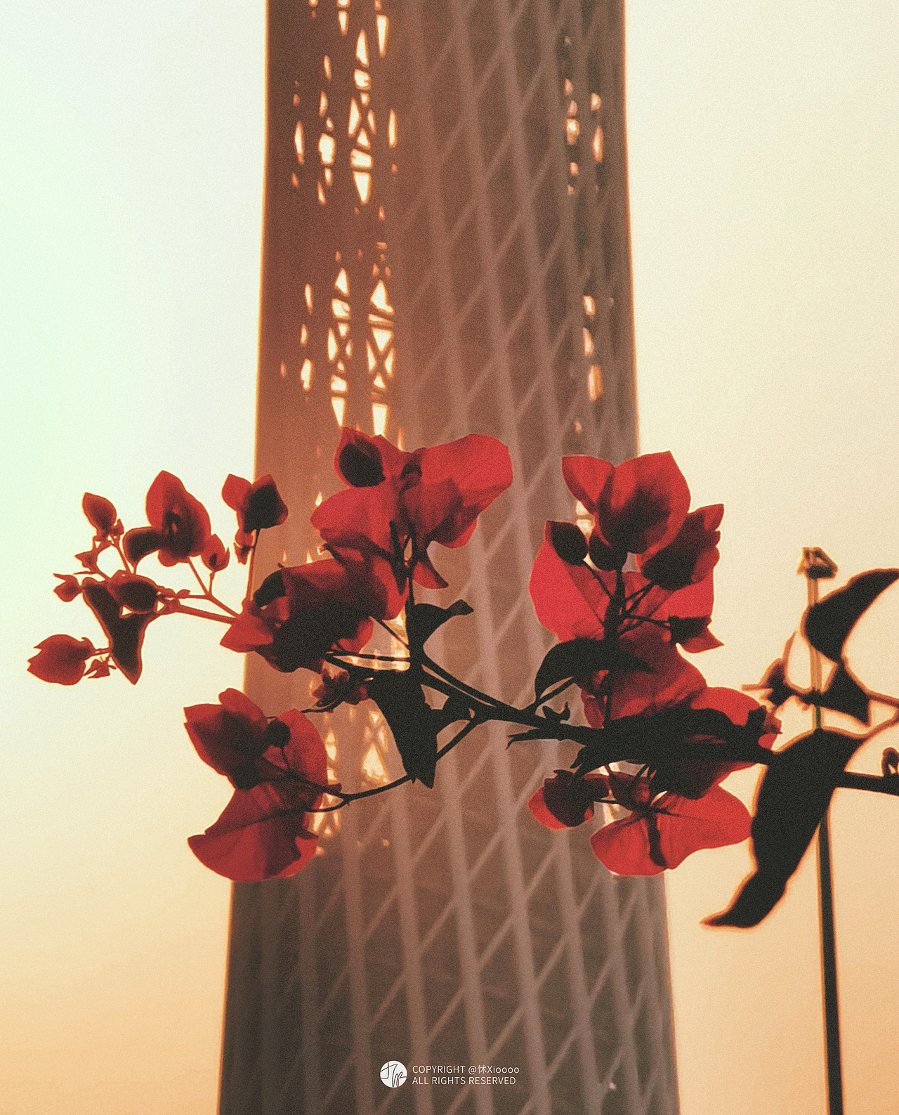 2023怵xiooo手机摄影