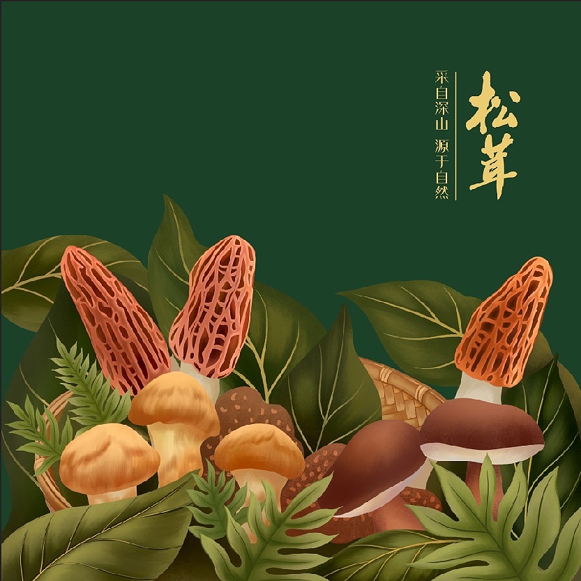 最近一些商業(yè)插畫（圖ZMzE3MTg1NDc2） - 商業(yè)插畫 - 站酷設計師李和曦原創(chuàng)素材 - 站酷ZCOOL