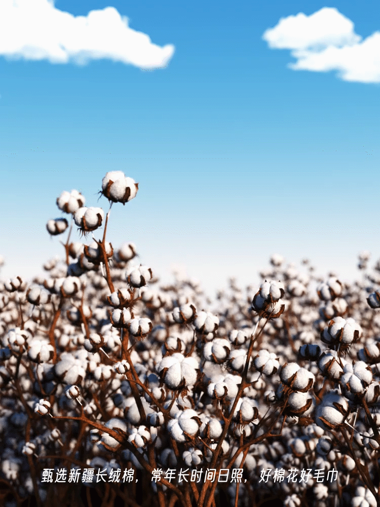 小黄人毛巾动画