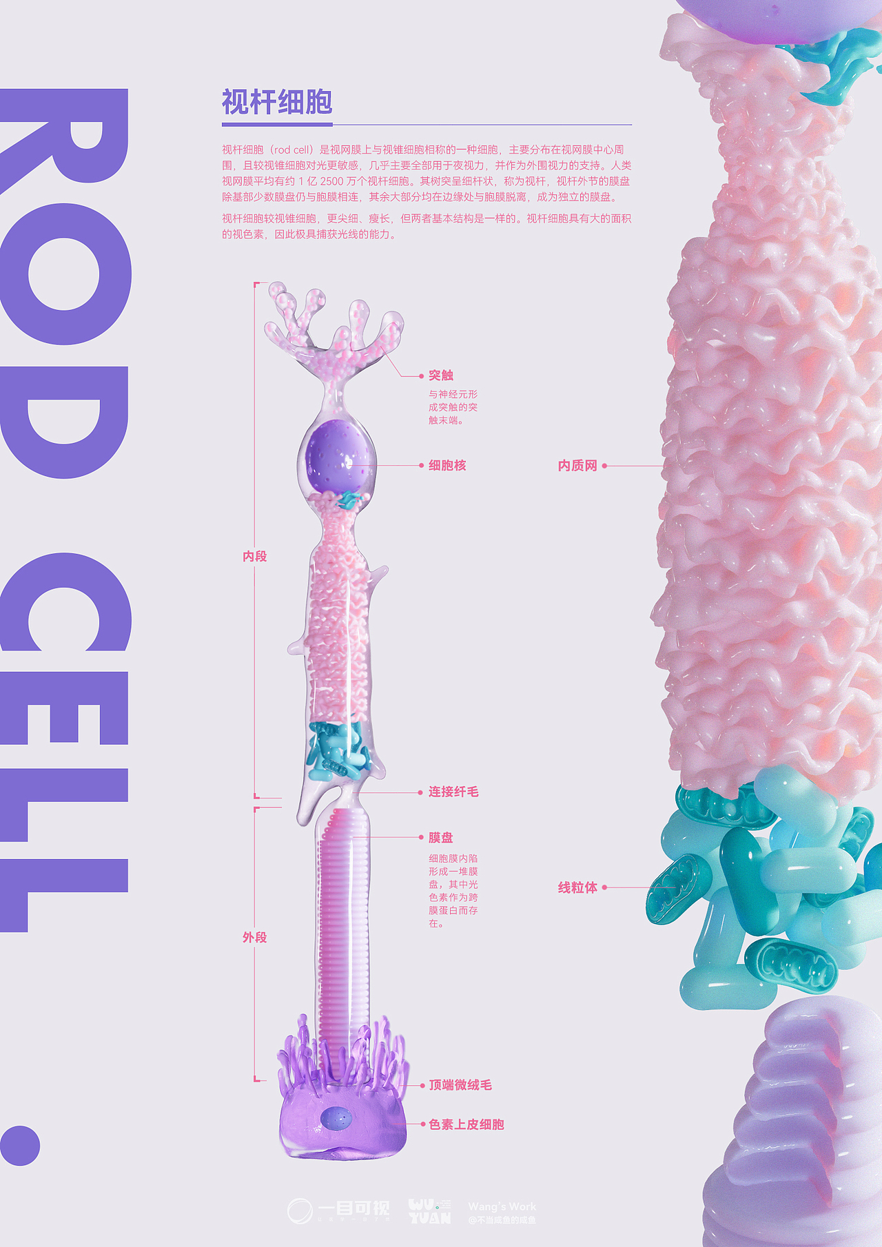 2023医学可视化作品合集（图ZMzU5MjA0NDY4） - 创作习作 - 站酷设计师不当咸鱼的咸鱼原创素材 - 站酷ZCOOL