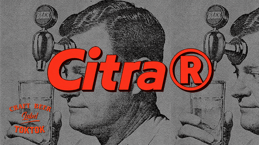 TOKTOK | 如何将场景进行生动的IP化表达