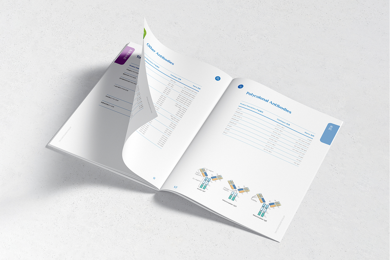 Artron 生物 产品手册 单页（图ZMzQwNzYwNDI4） - 书籍/画册 - 站酷设计师Beahibe原创素材 - 站酷ZCOOL