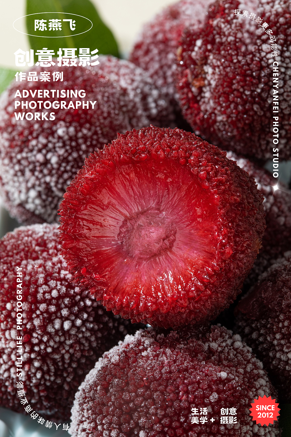 寻梅且好|国风电商美食摄影杨梅干摄影