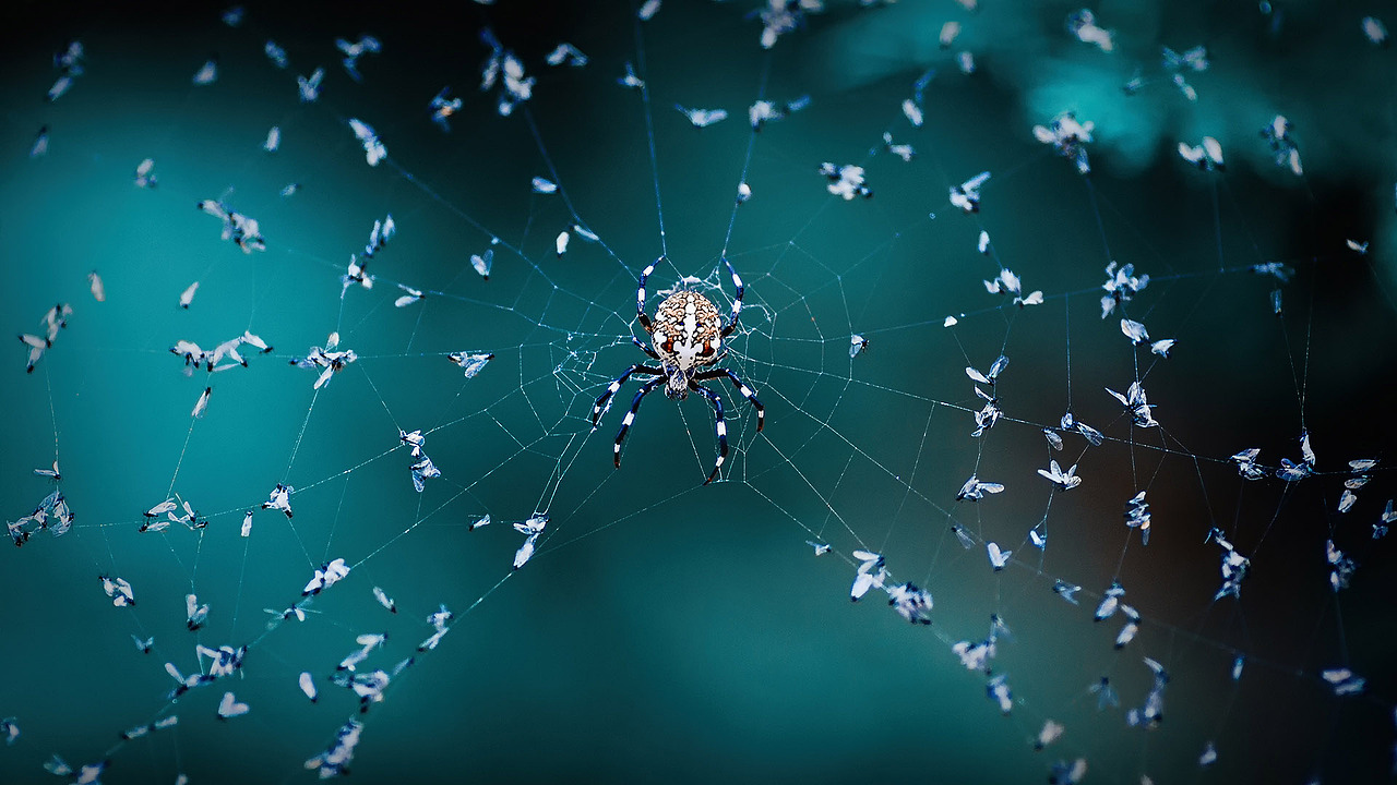 16:9和18:9（图ZMzE5MTA4MTIw） - 风光摄影 - 站酷设计师amhx原创素材 - 站酷ZCOOL