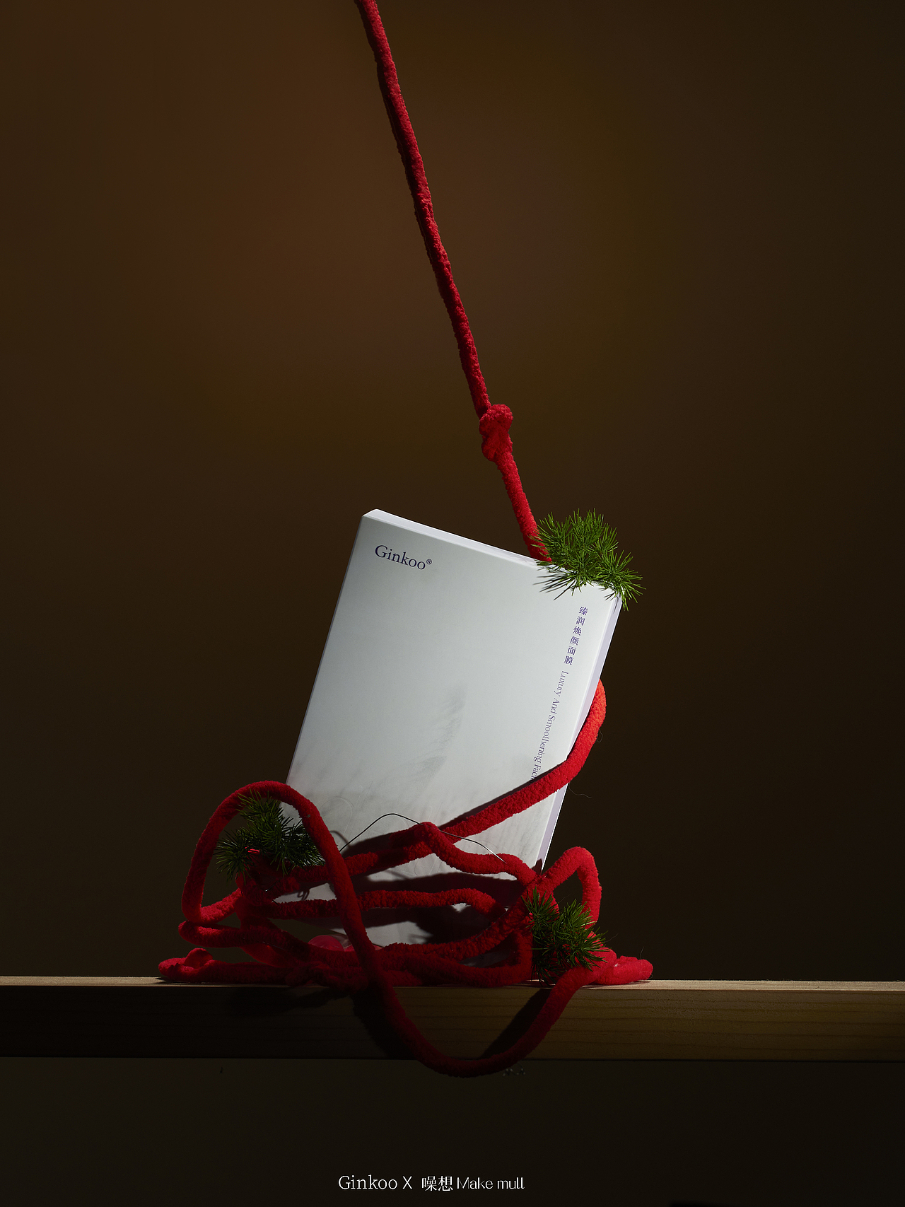 ginkoo双旦拍摄（图ZMzI5NDM0NTI0） - 产品摄影 - 站酷设计师噪想Makemull原创素材 - 站酷ZCOOL