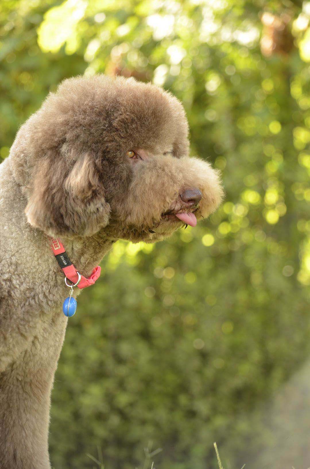 其他创意(可不打开,个创勿盗)