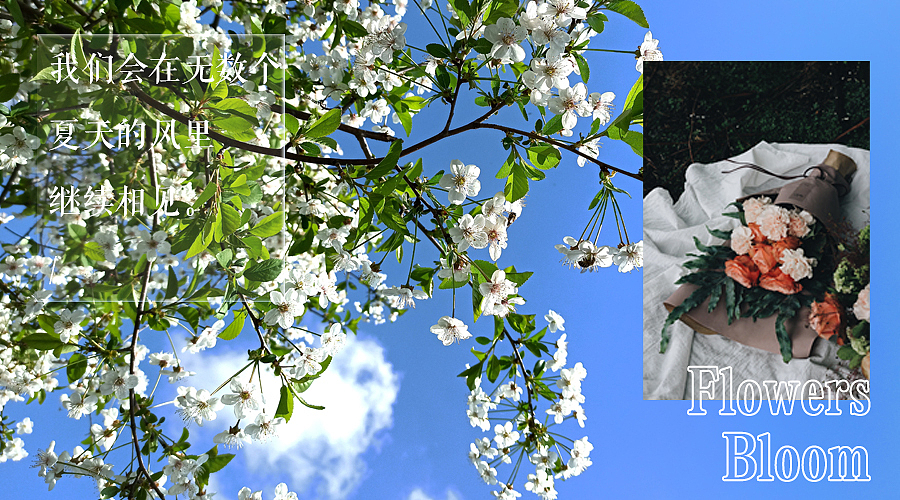 日常摸鱼设计2（图ZMzA5MjgxODQ4） - 书籍/画册 - 站酷设计师鲤宁鱼原创素材 - 站酷ZCOOL