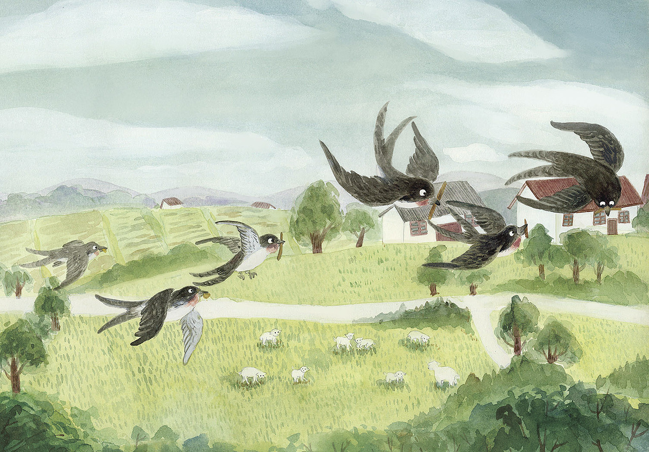 儿童绘本创作。