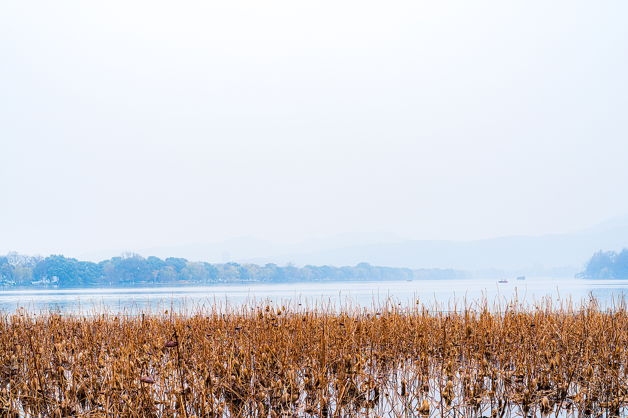 【风光摄影】元旦的西湖·浓雾篇