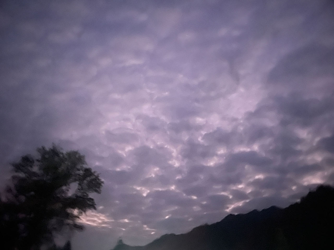 2023年度相片(iPhone)