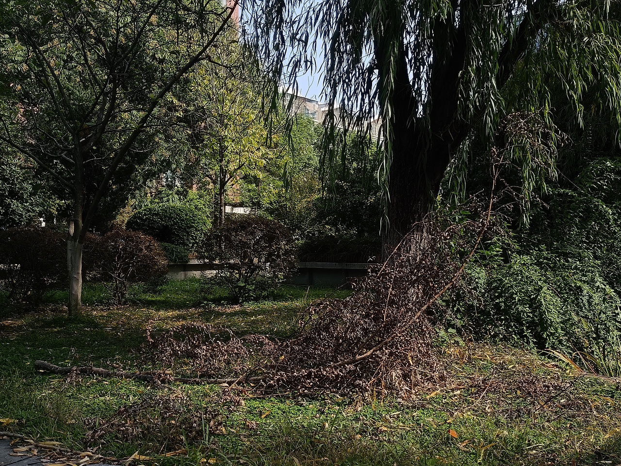 一葉知秋（圖ZMzUyNTA3MzQ0） - 風光攝影 - 站酷設計師Alysoooooooooon原創(chuàng)素材 - 站酷ZCOOL