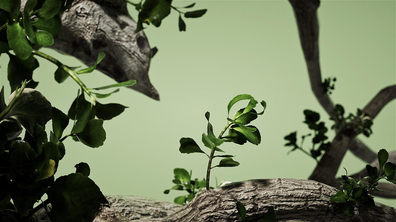 用“百变小音”给2022年画上完美句号吧~