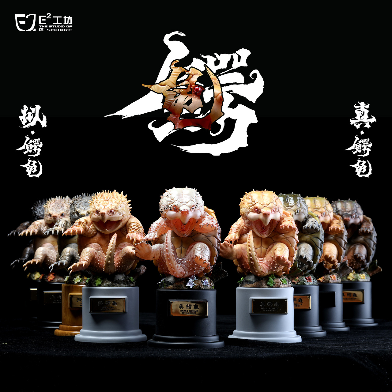 2023鳄龟系列--真鳄龟