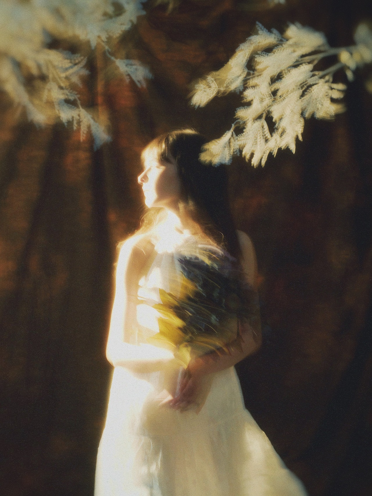 * 爱的力量是和平