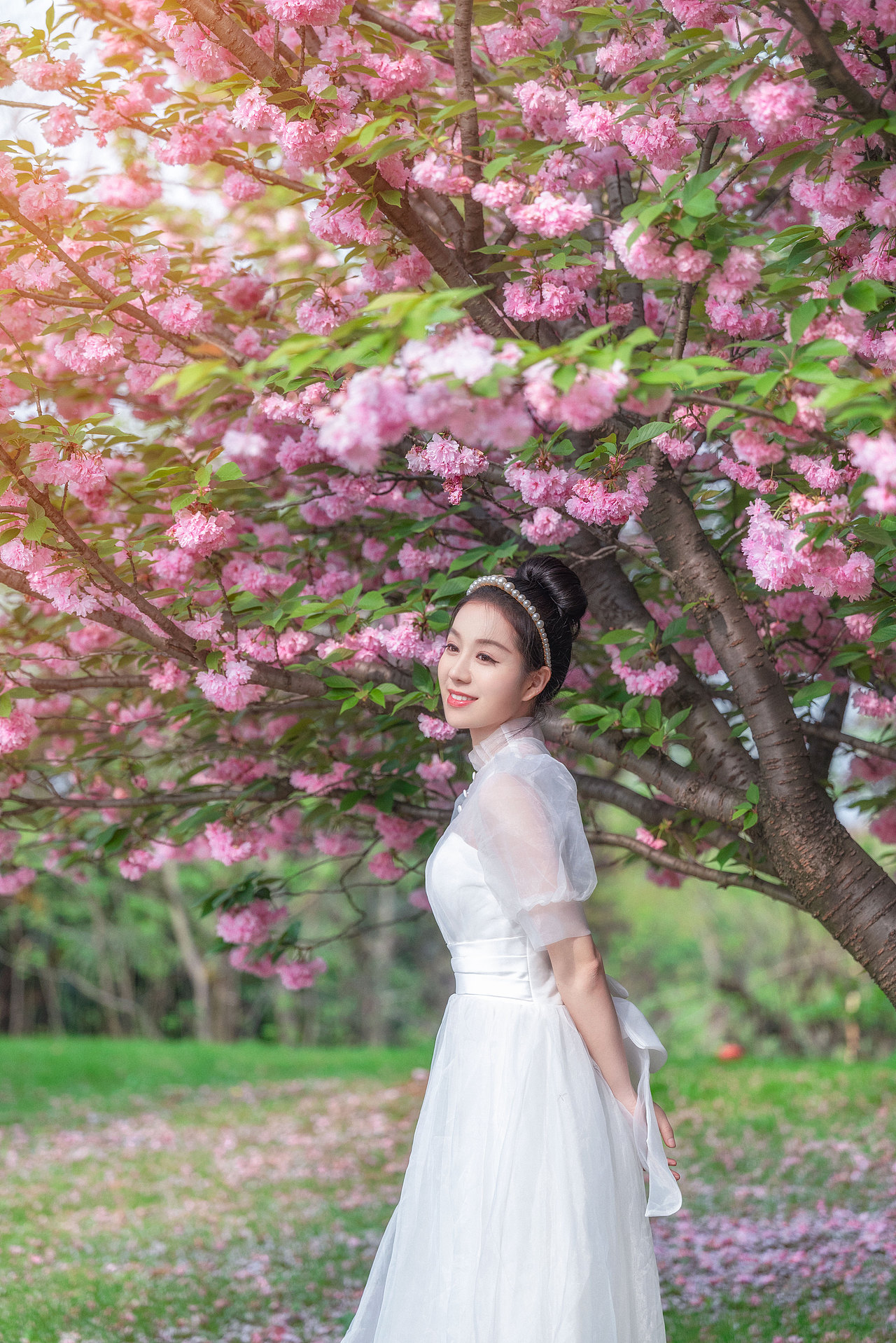 樱花林（图ZMzE1MTM2MDA4） - 人像摄影 - 站酷设计师糊涂仙人LEO原创素材 - 站酷ZCOOL