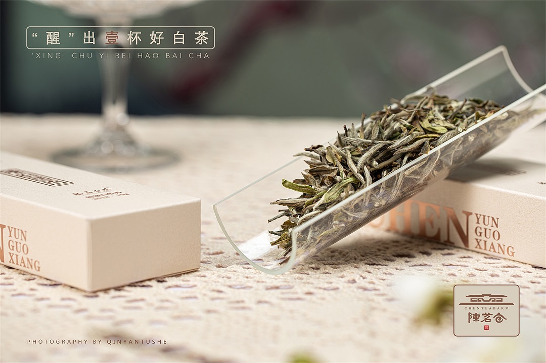 陈韵国香白牡丹——福鼎白茶产品拍摄